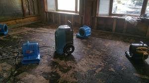 Mold Infestation Restoration In Progress