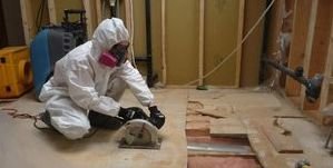 Water Damage Water Damage North Myrtle Beach Mold Removal Process