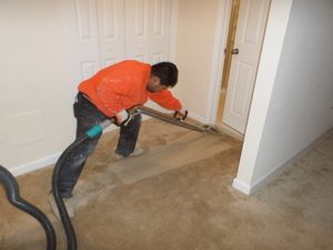 Disaster Restoration Expert Cleaning Carpet After Flooding